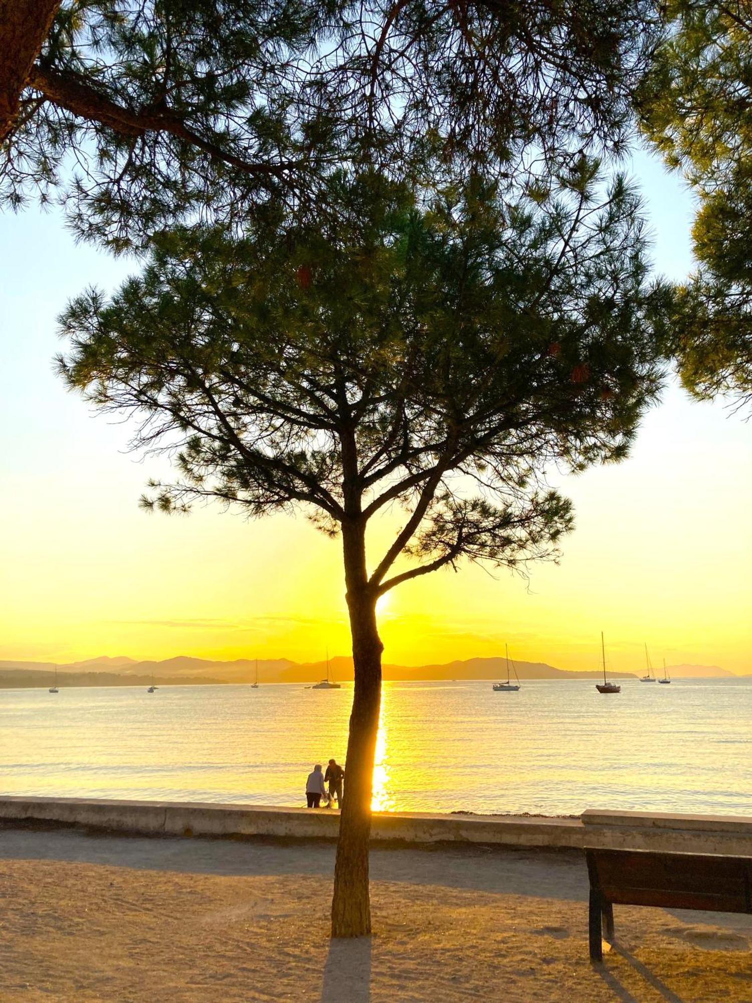 Blue Summer Vibes Appartment For 4P, Ac, Parking, Beachfront, Spa Access -5 La Ciotat Ngoại thất bức ảnh